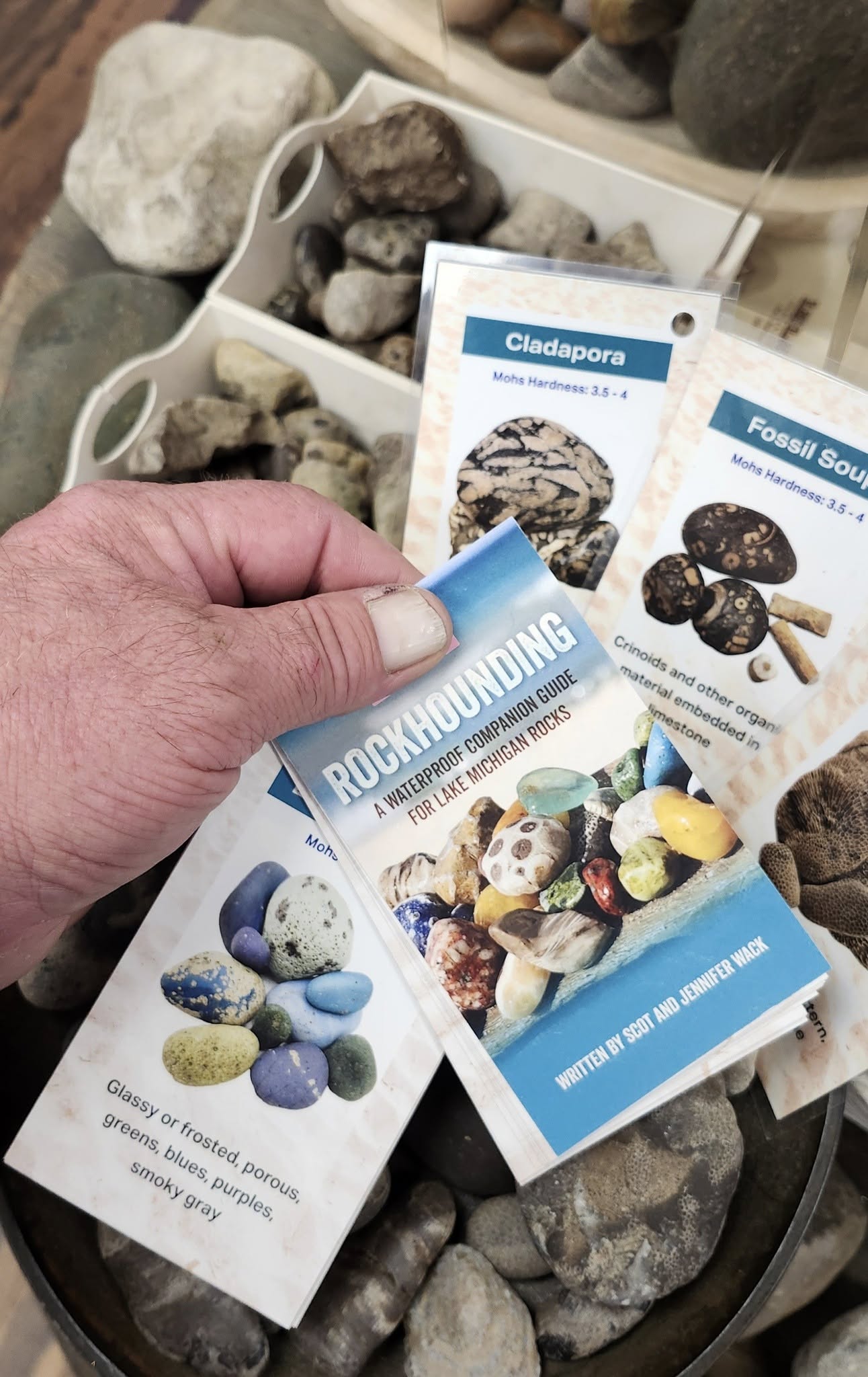 Rockhounding: Water-Resistant Companion Guide for Lake Michigan Rocks