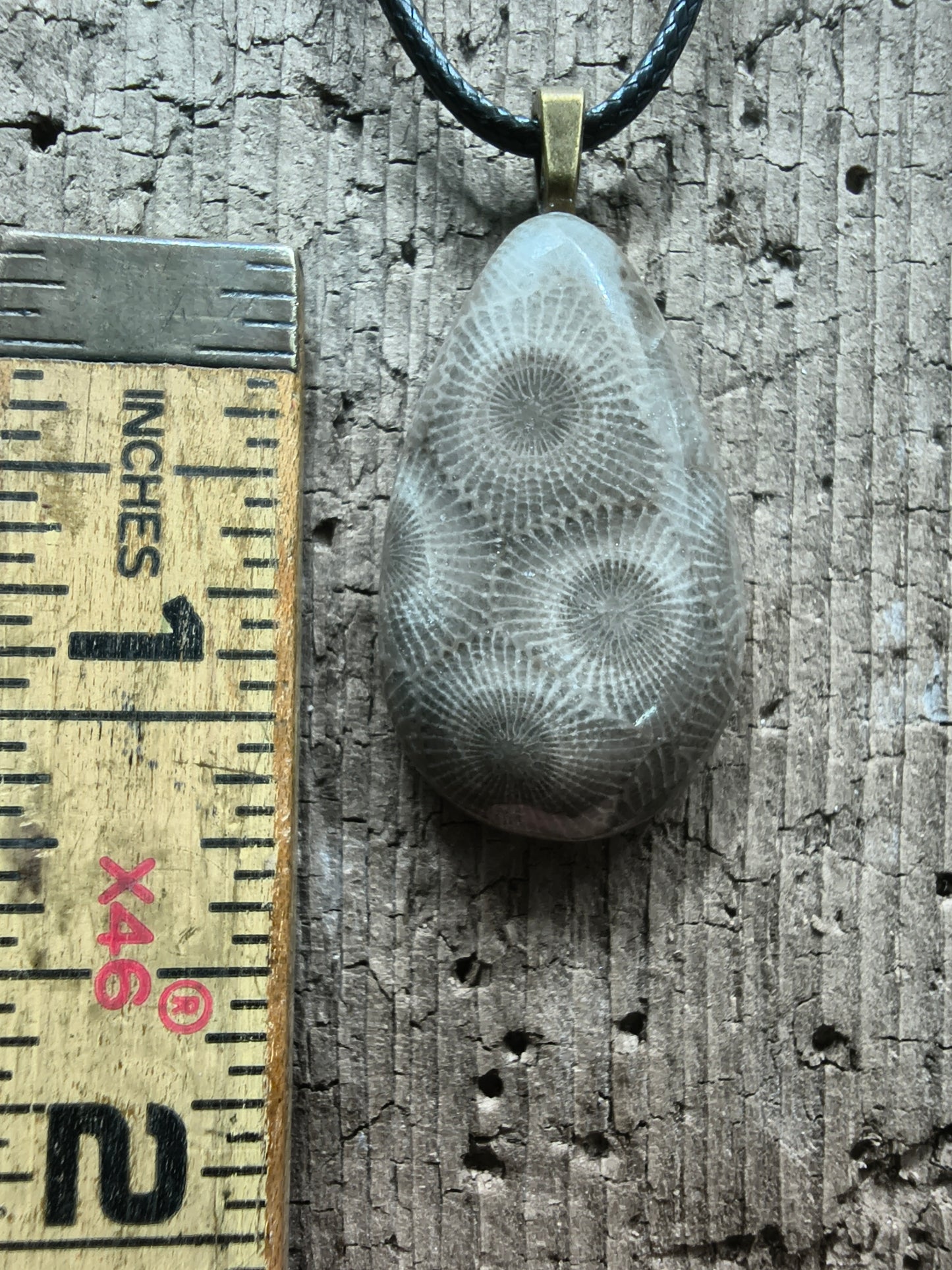 Petoskey Pendant #056