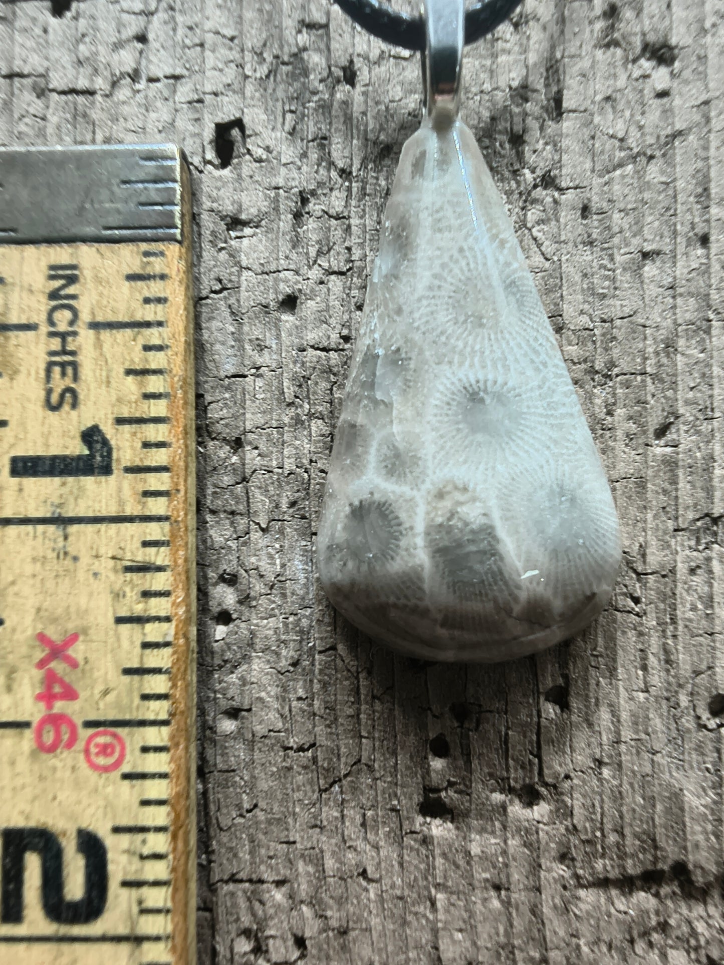 Petoskey Pendant #059