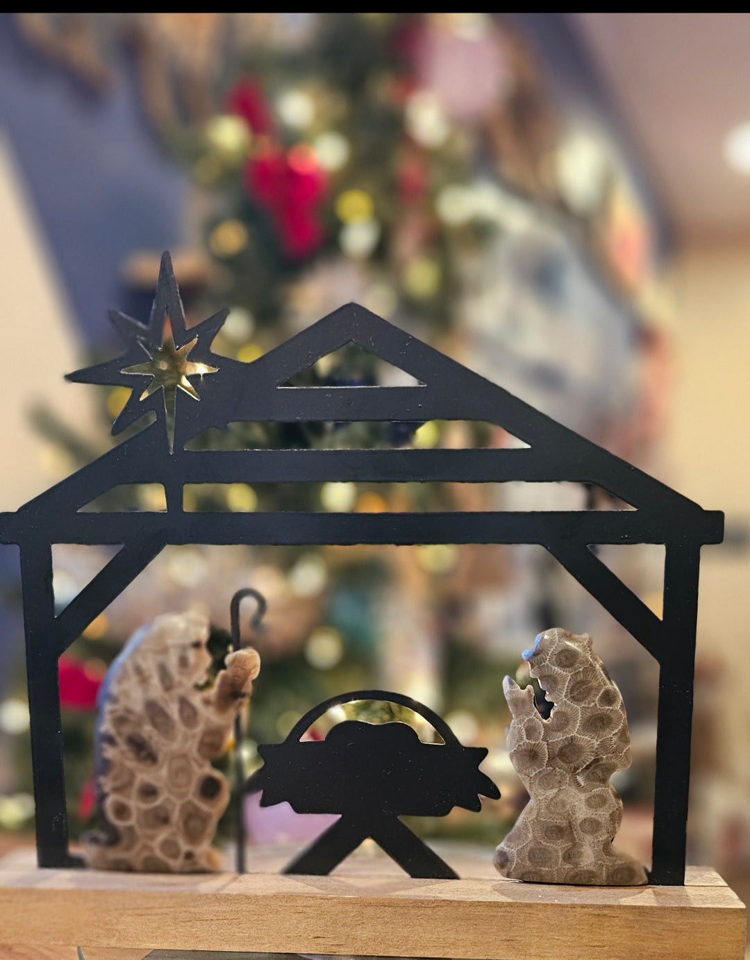 Petoskey Metal Nativity Scene_1