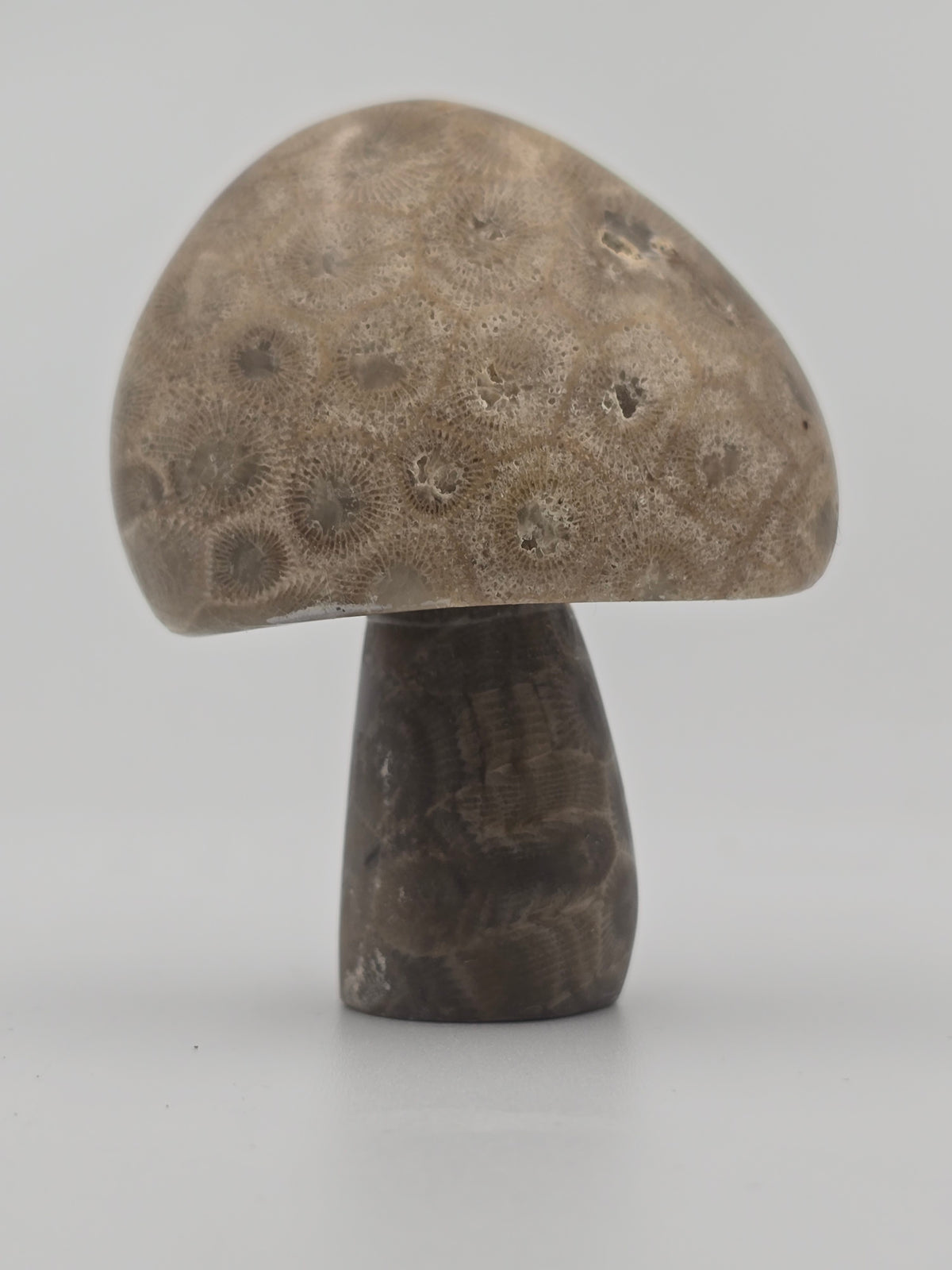 Petoskey Mushroom #01