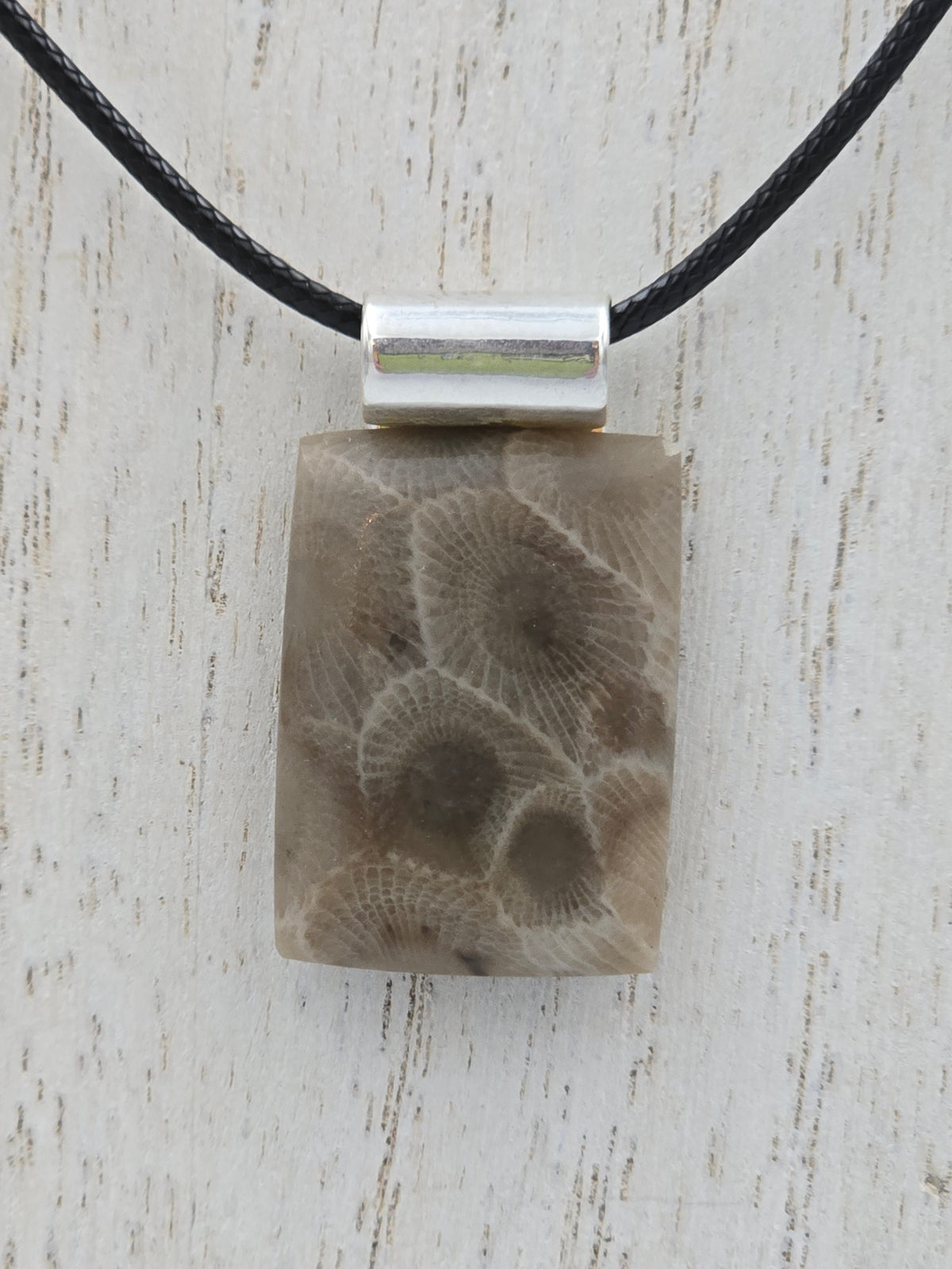 Petoskey Rectangle Pendant #01