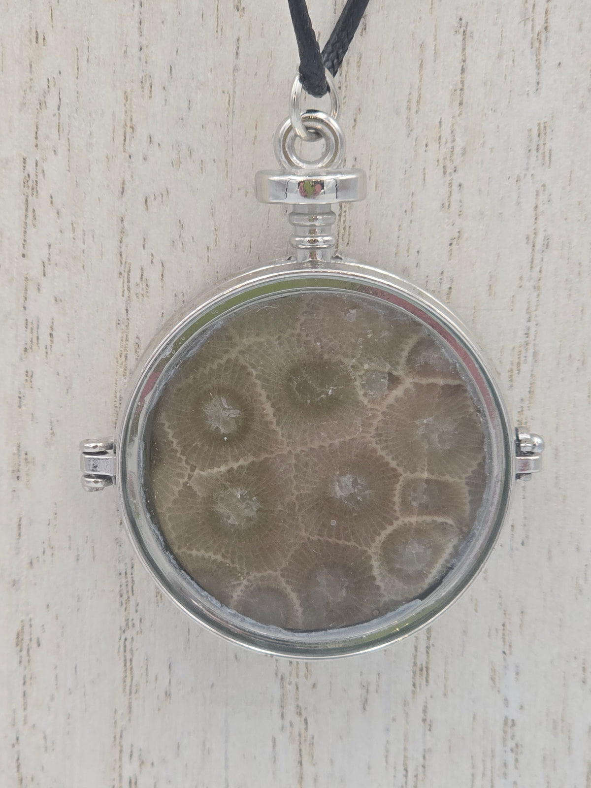 Petoskey Stone Locket #03