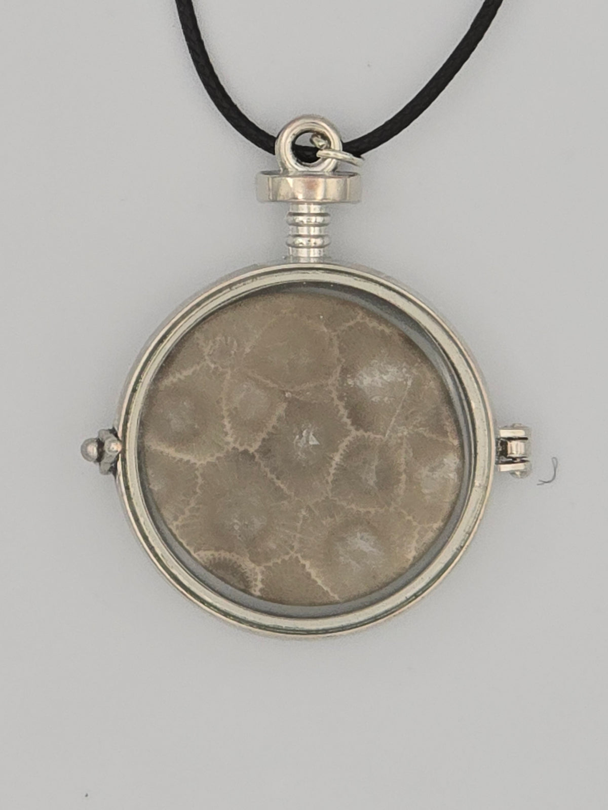Petoskey Stone Locket #02