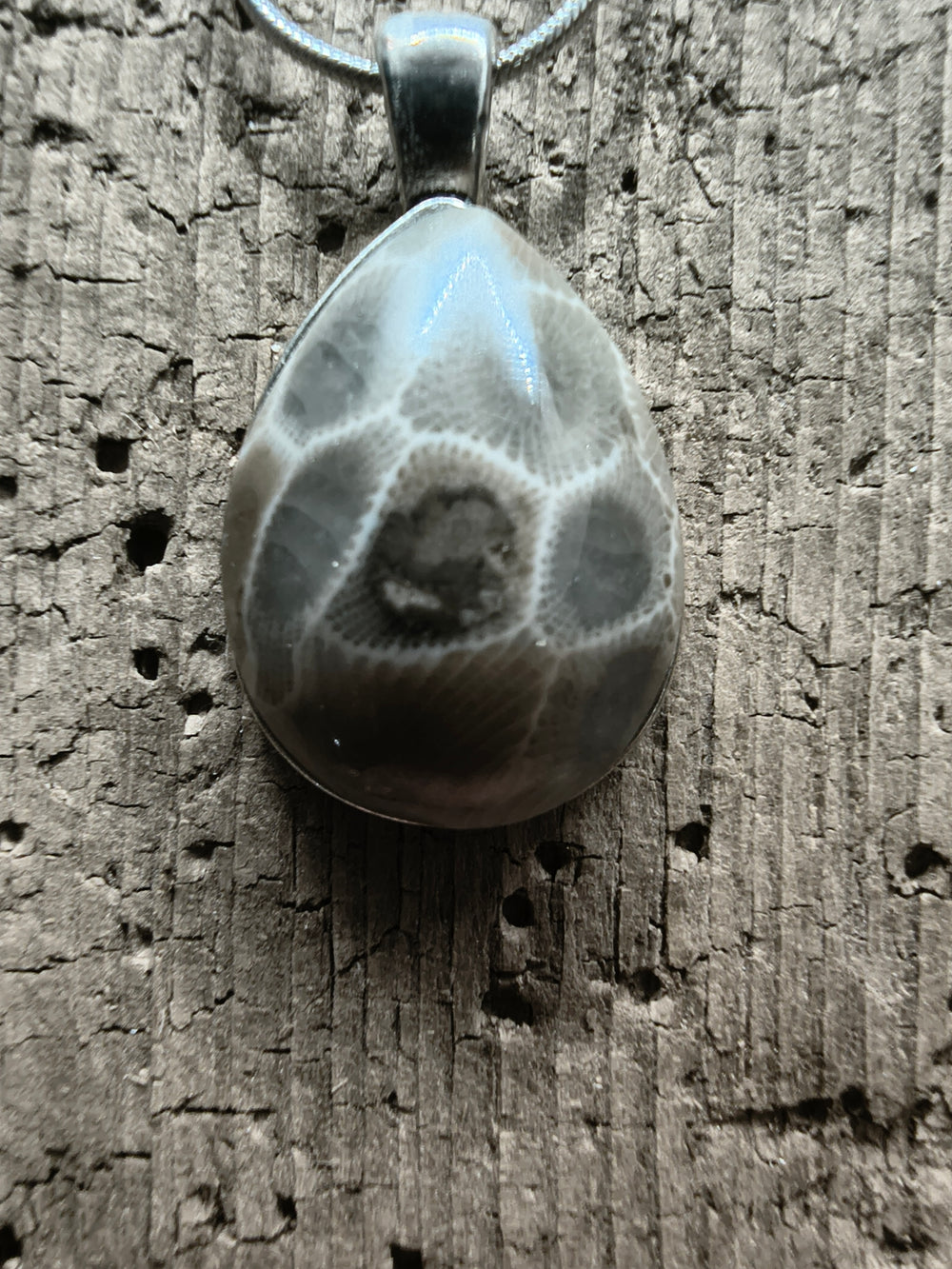 Petoskey Stone Sterling Silver Pendant #046