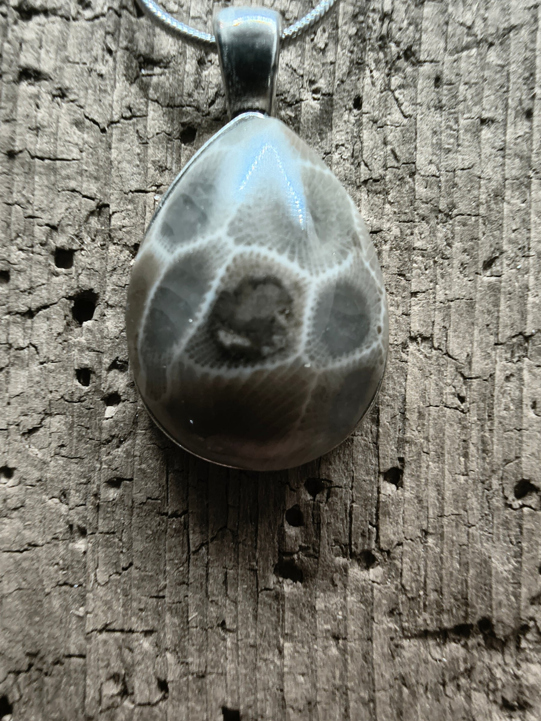 Petoskey Stone Sterling Silver Pendant #046