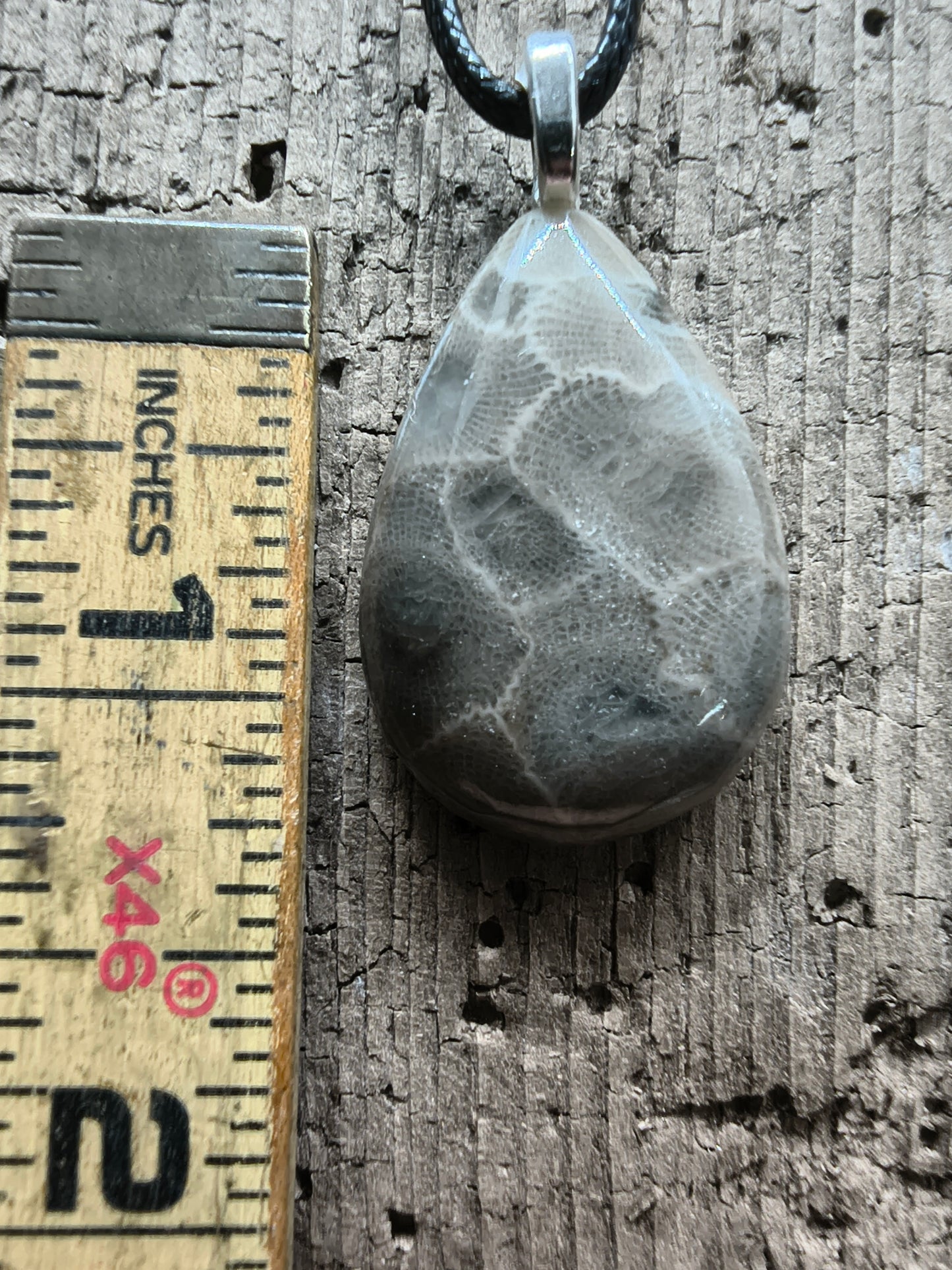 Petoskey Pendant #055