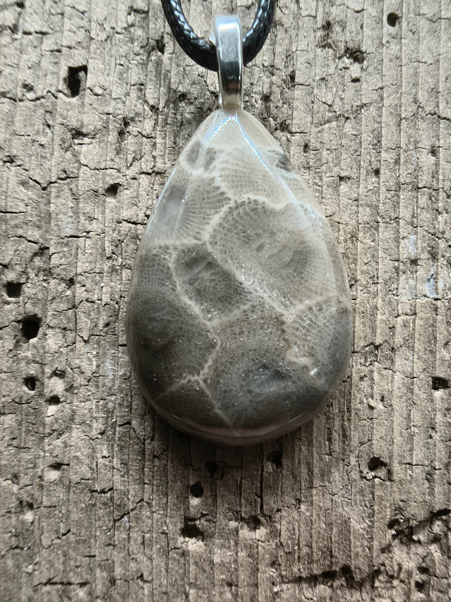 Petoskey Pendant #055