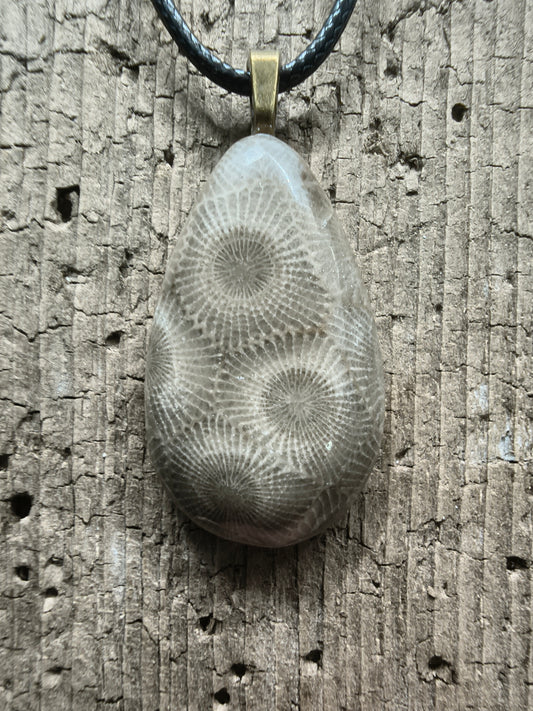 Petoskey Pendant #056