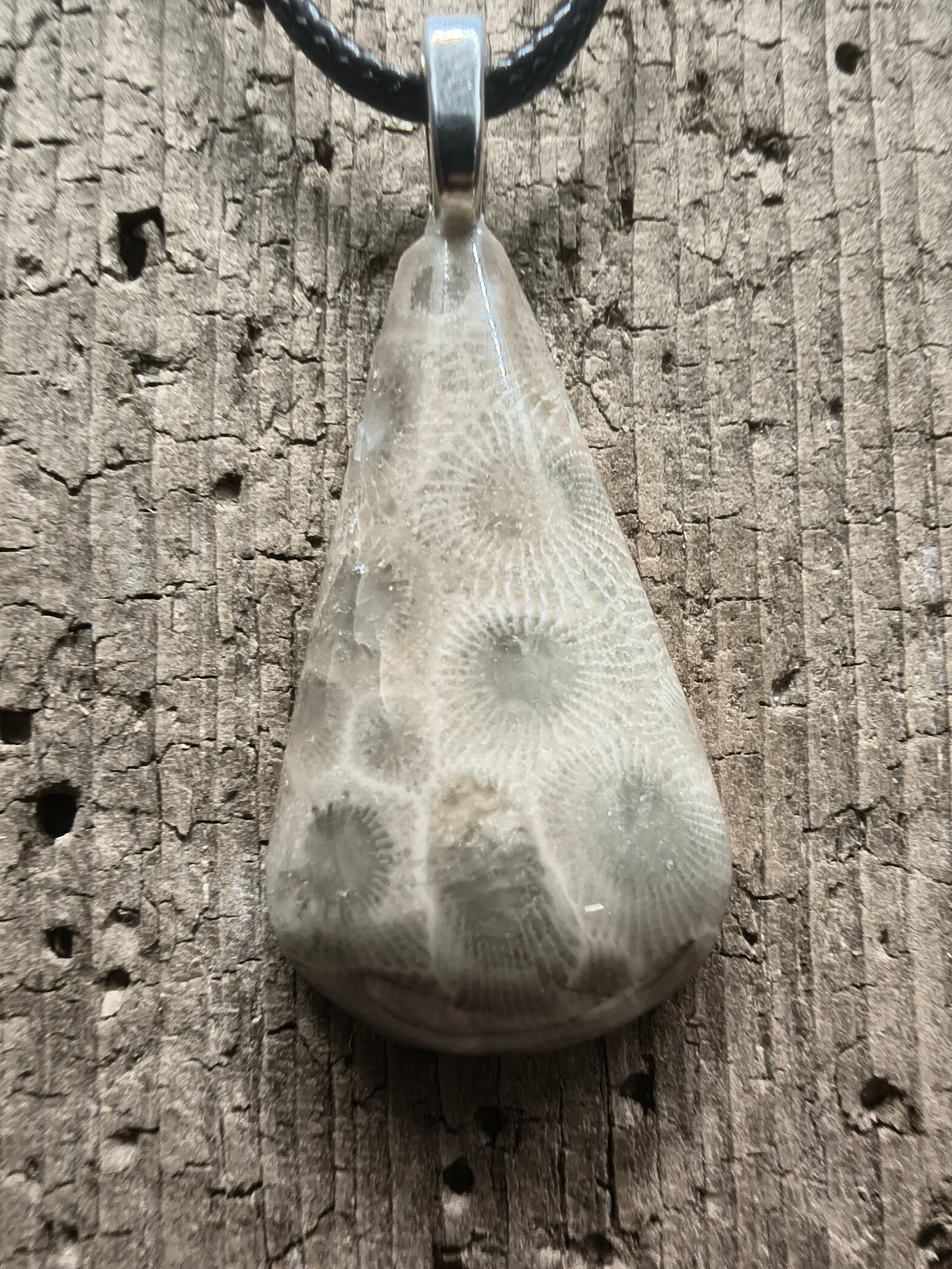 Petoskey Pendant #059