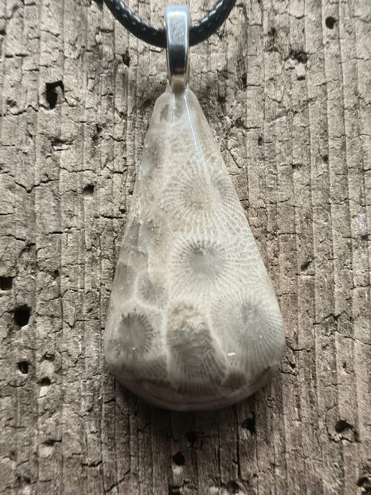 Petoskey Pendant #059