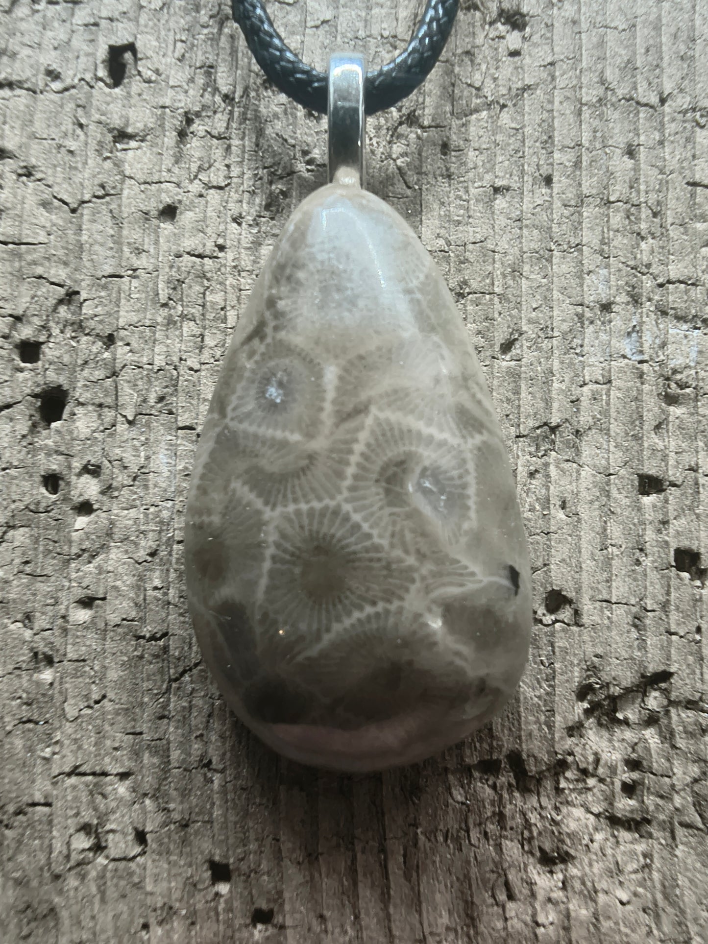 Petoskey Pendant #061