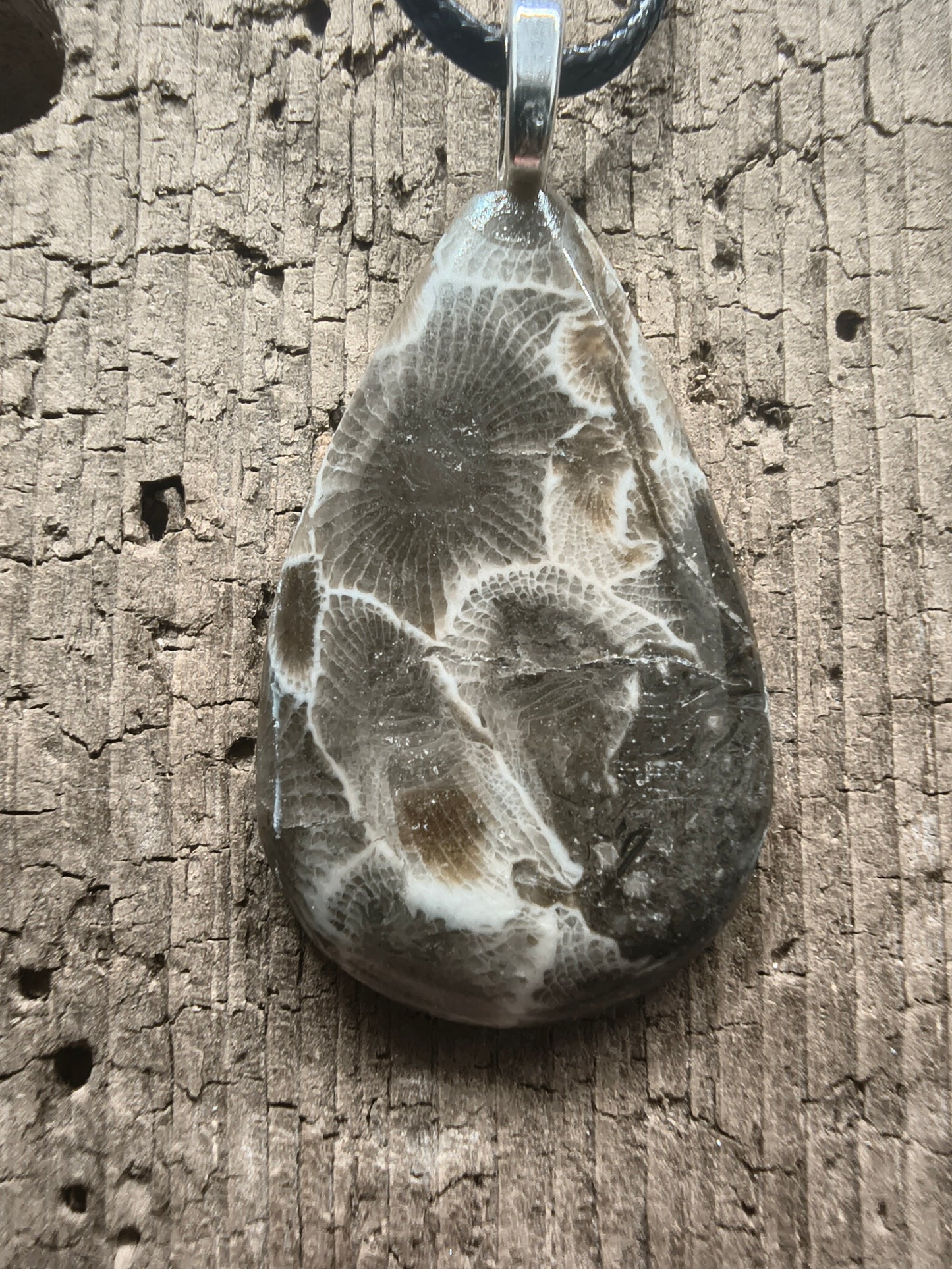 Petoskey Pendant #062