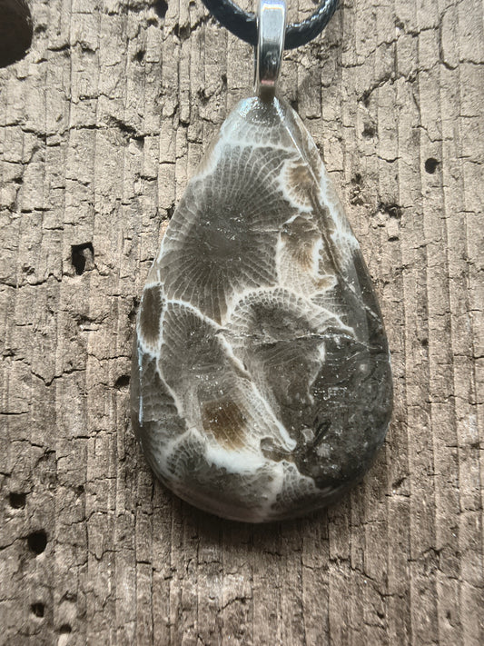 Petoskey Pendant #062