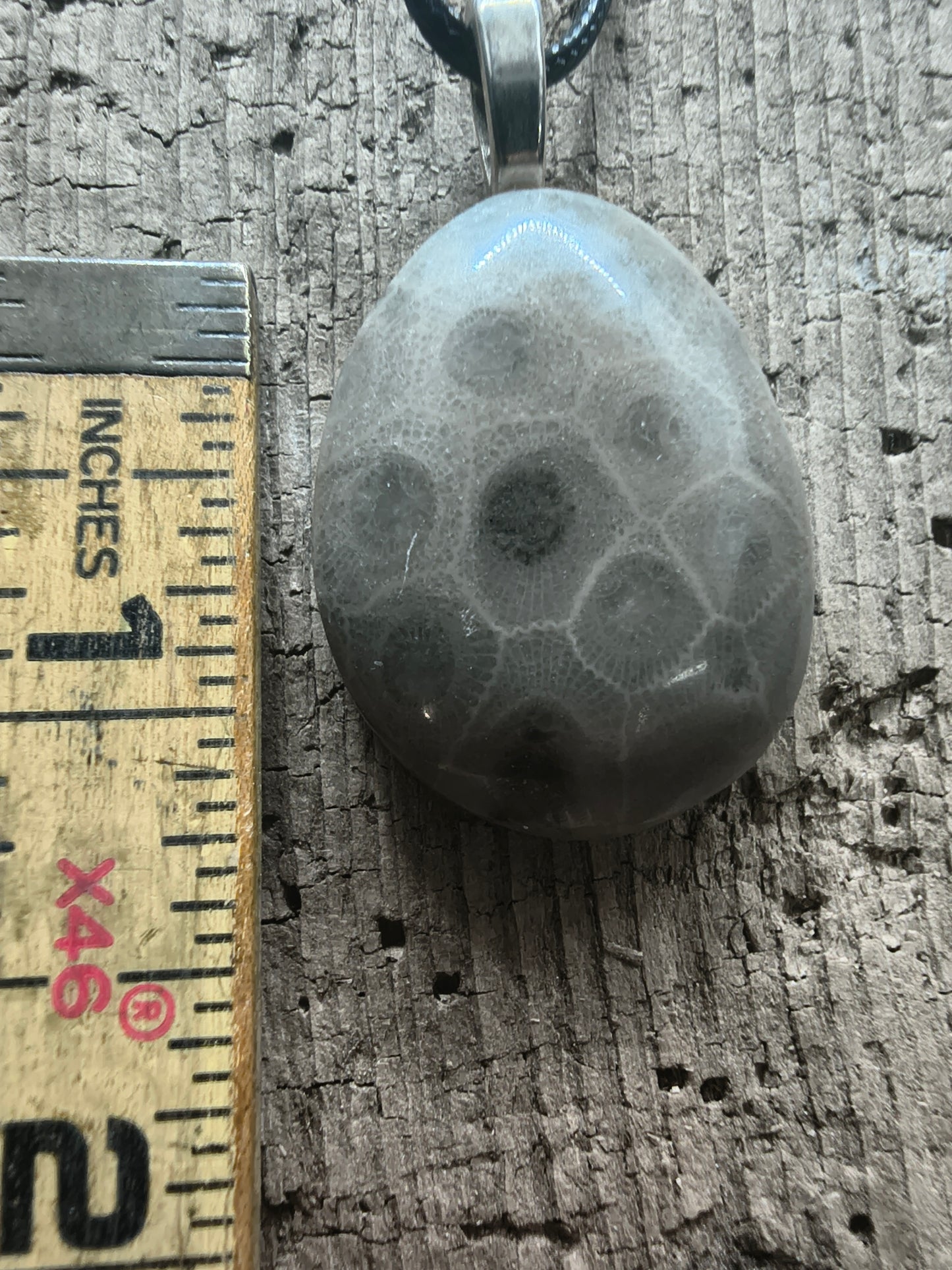 Petoskey Pendant #065