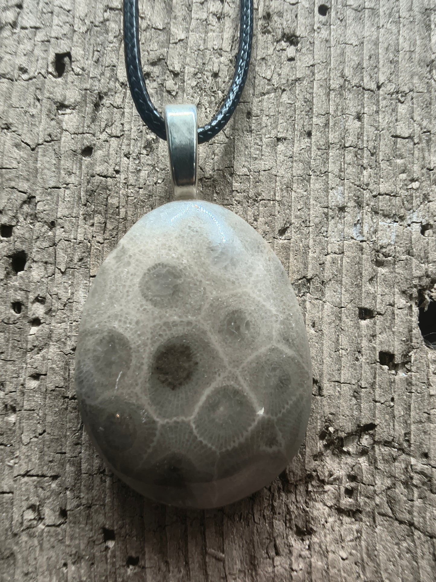 Petoskey Pendant #065