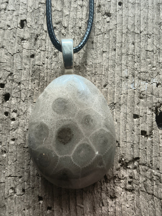 Petoskey Pendant #065