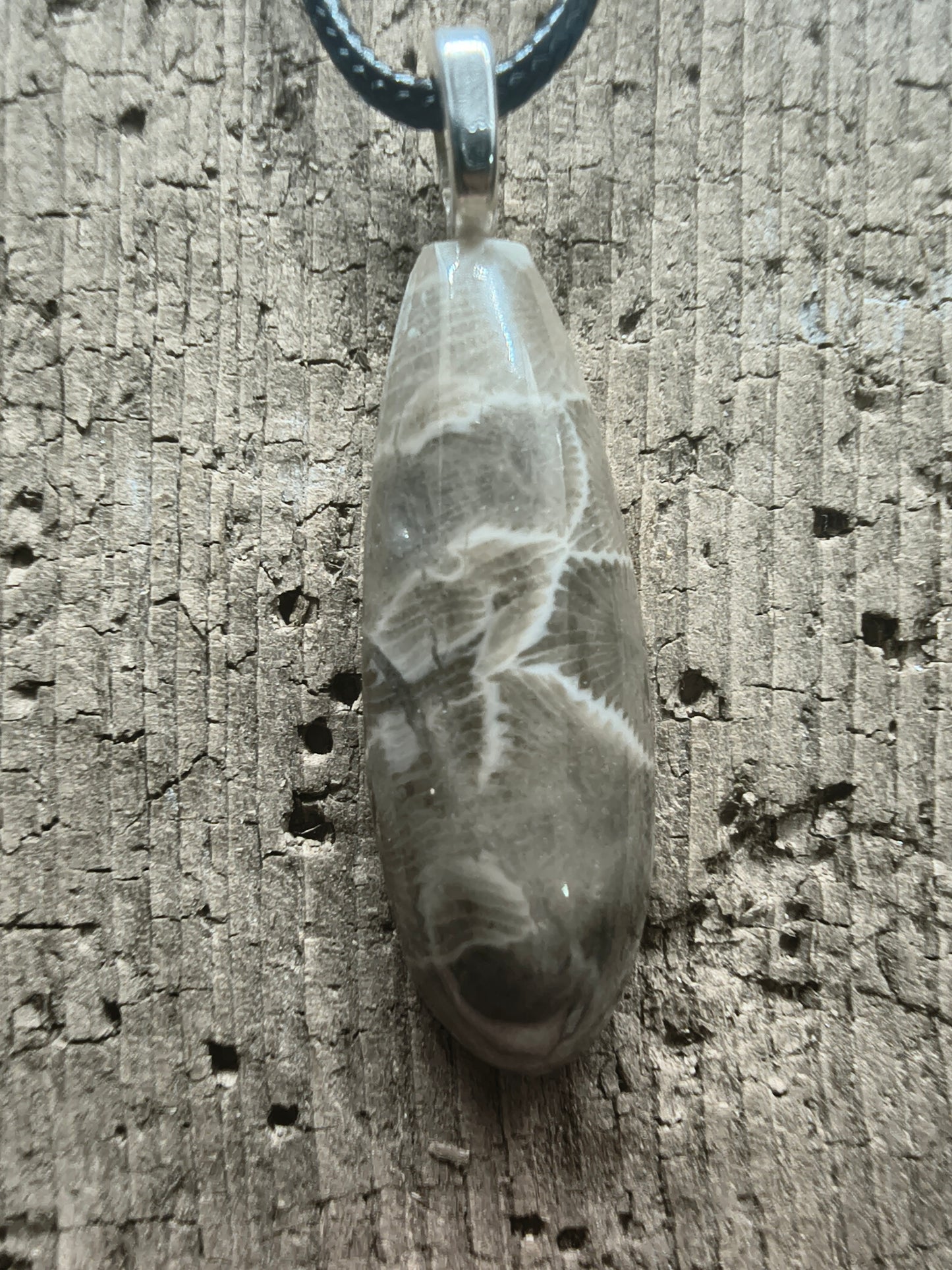 Petoskey Pendant #067