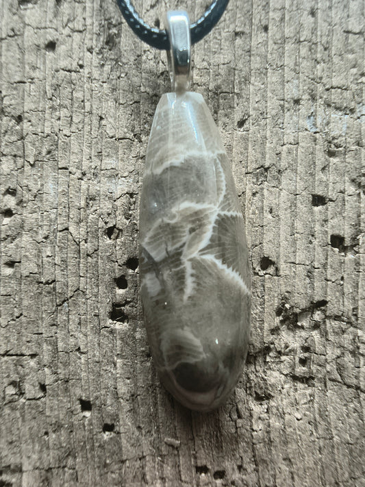 Petoskey Pendant #067