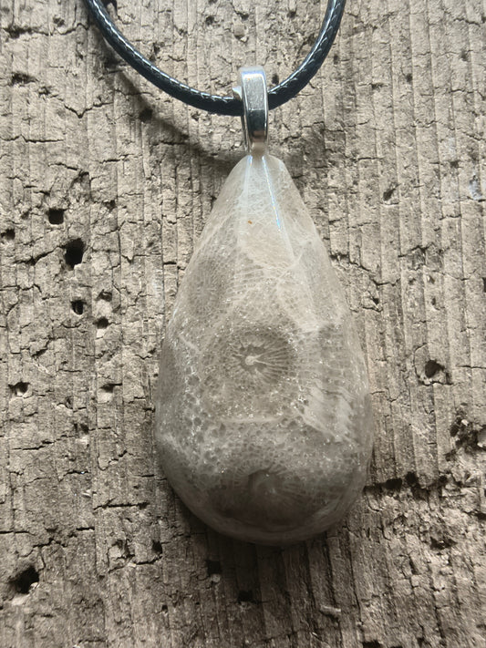 Petoskey Pendant #068