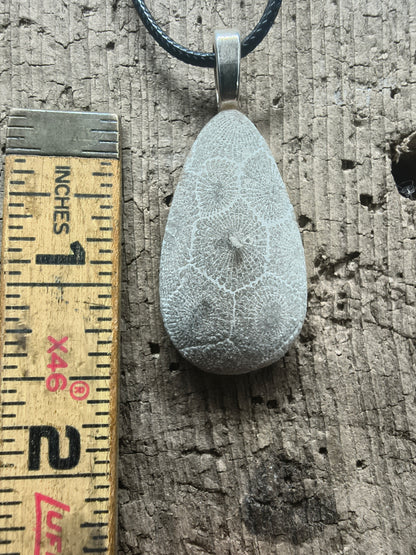 Petoskey Stone Pendant #069