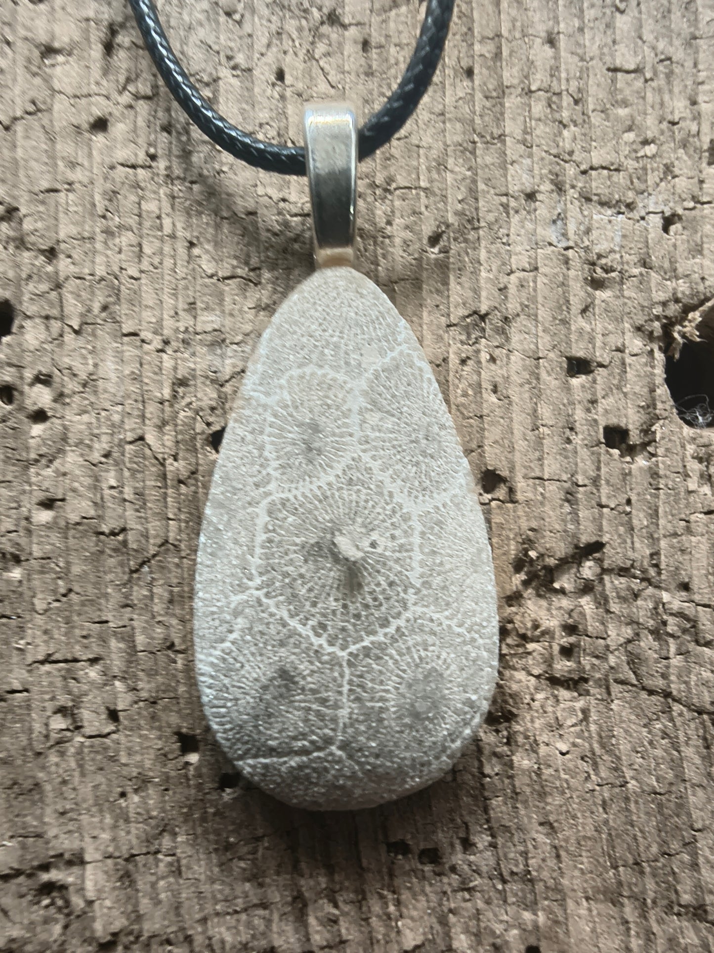 Petoskey Pendant #069