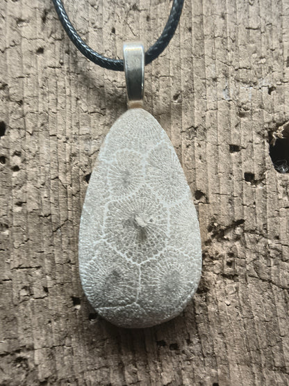 Petoskey Stone Pendant #069