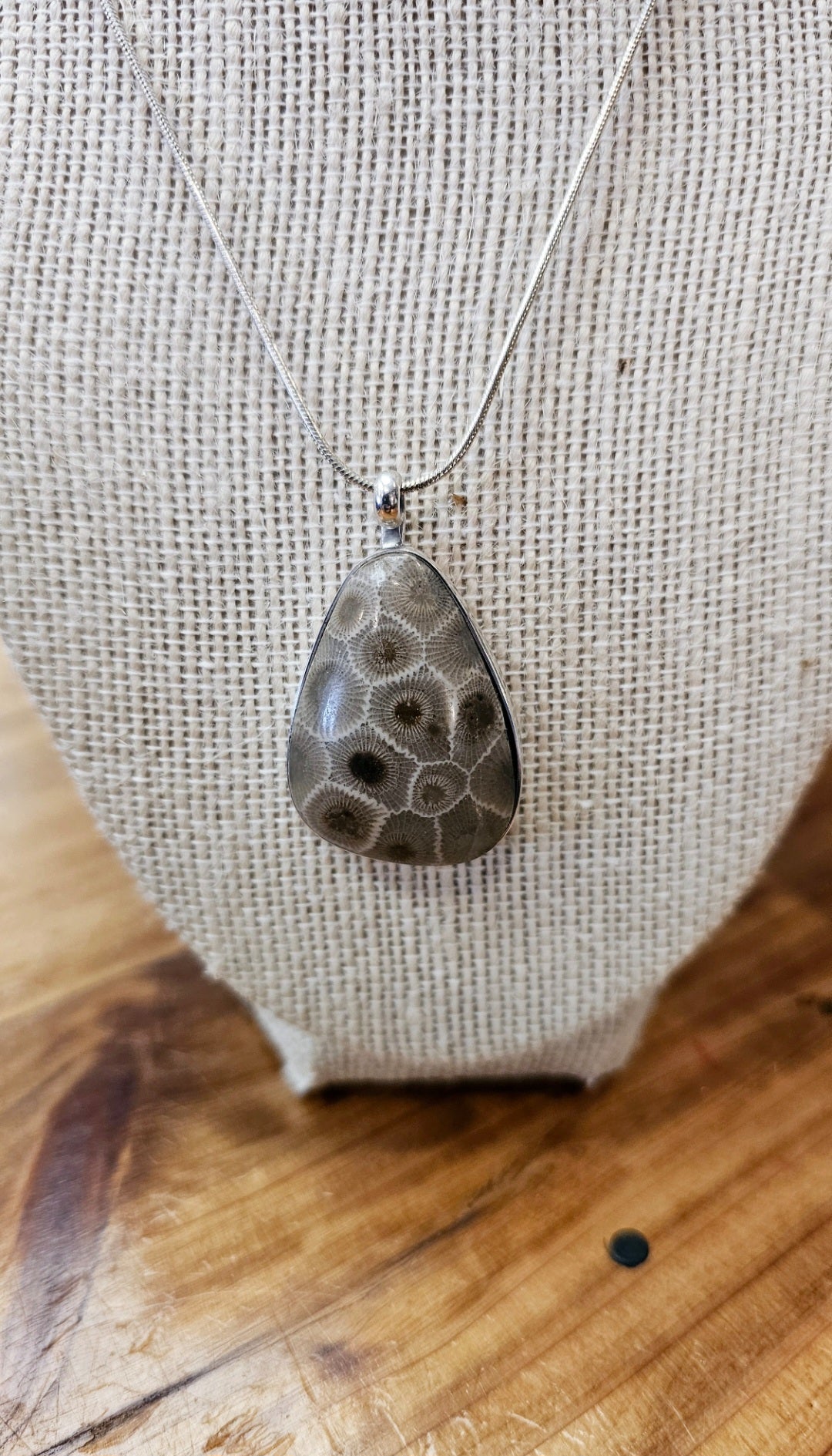 January Petoskey Pendant