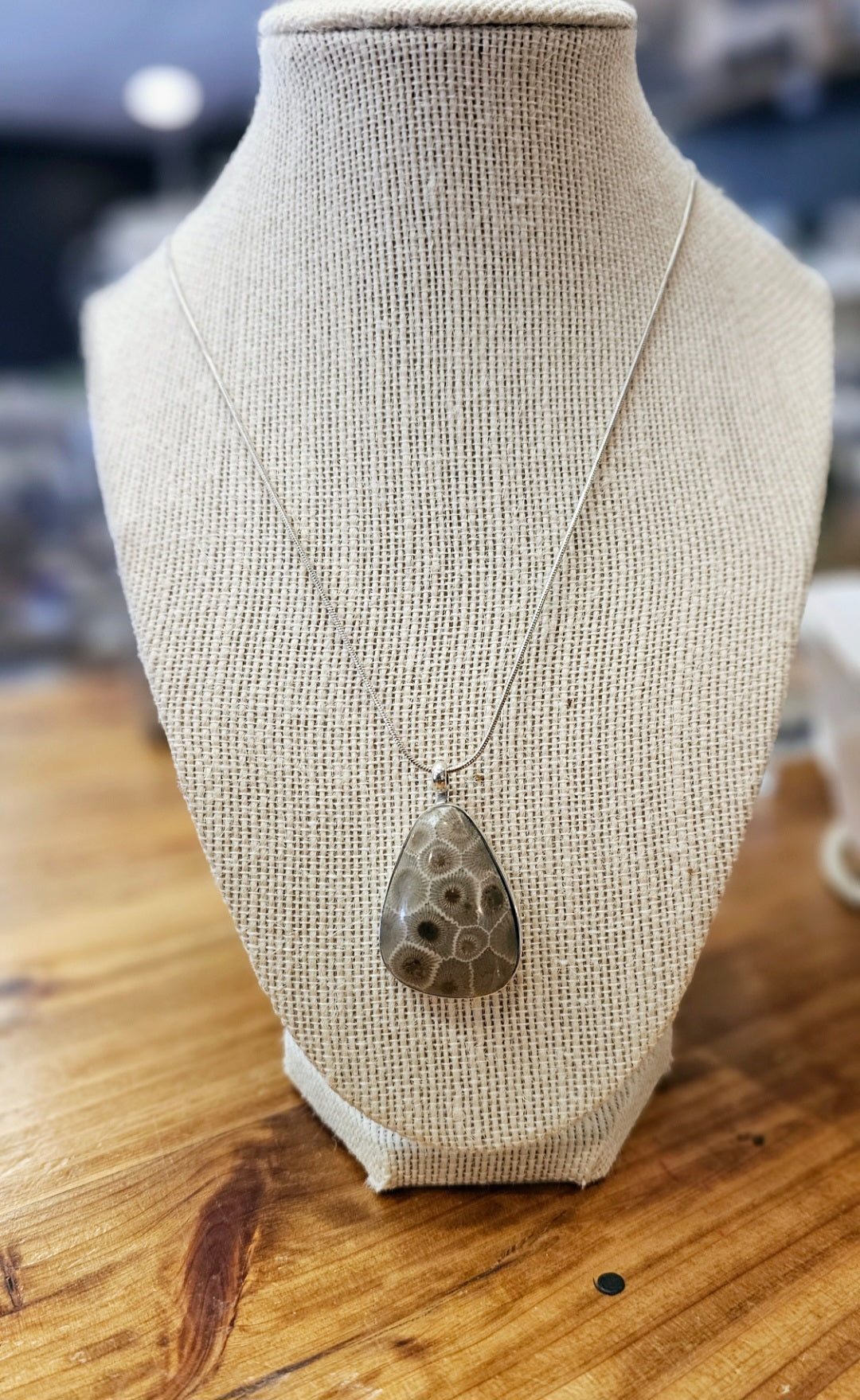 January Petoskey Pendant