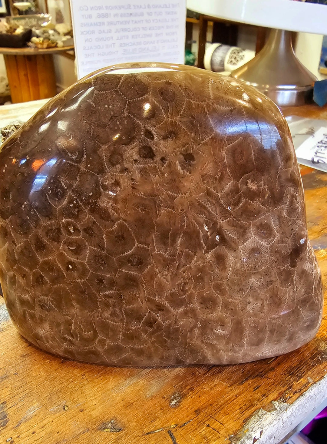 Online_Petoskey Stones