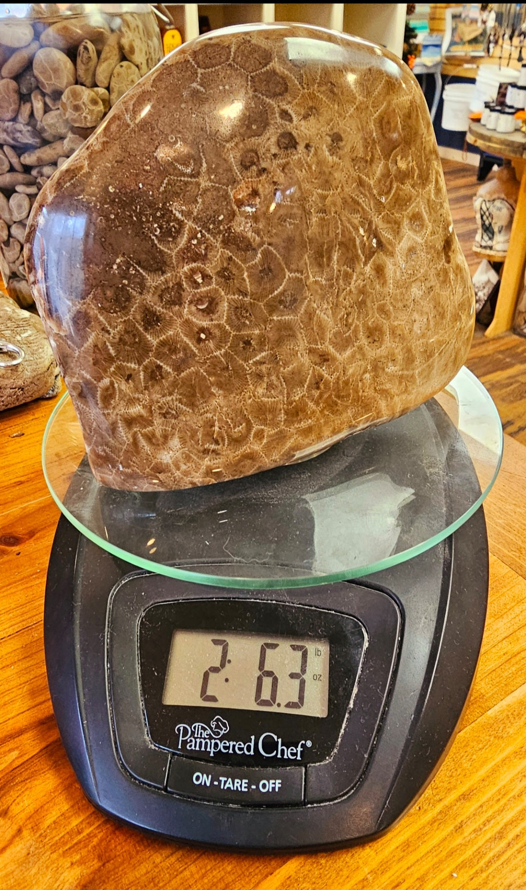 Online Petoskey Stone 2.6 Pounds Half-Polished