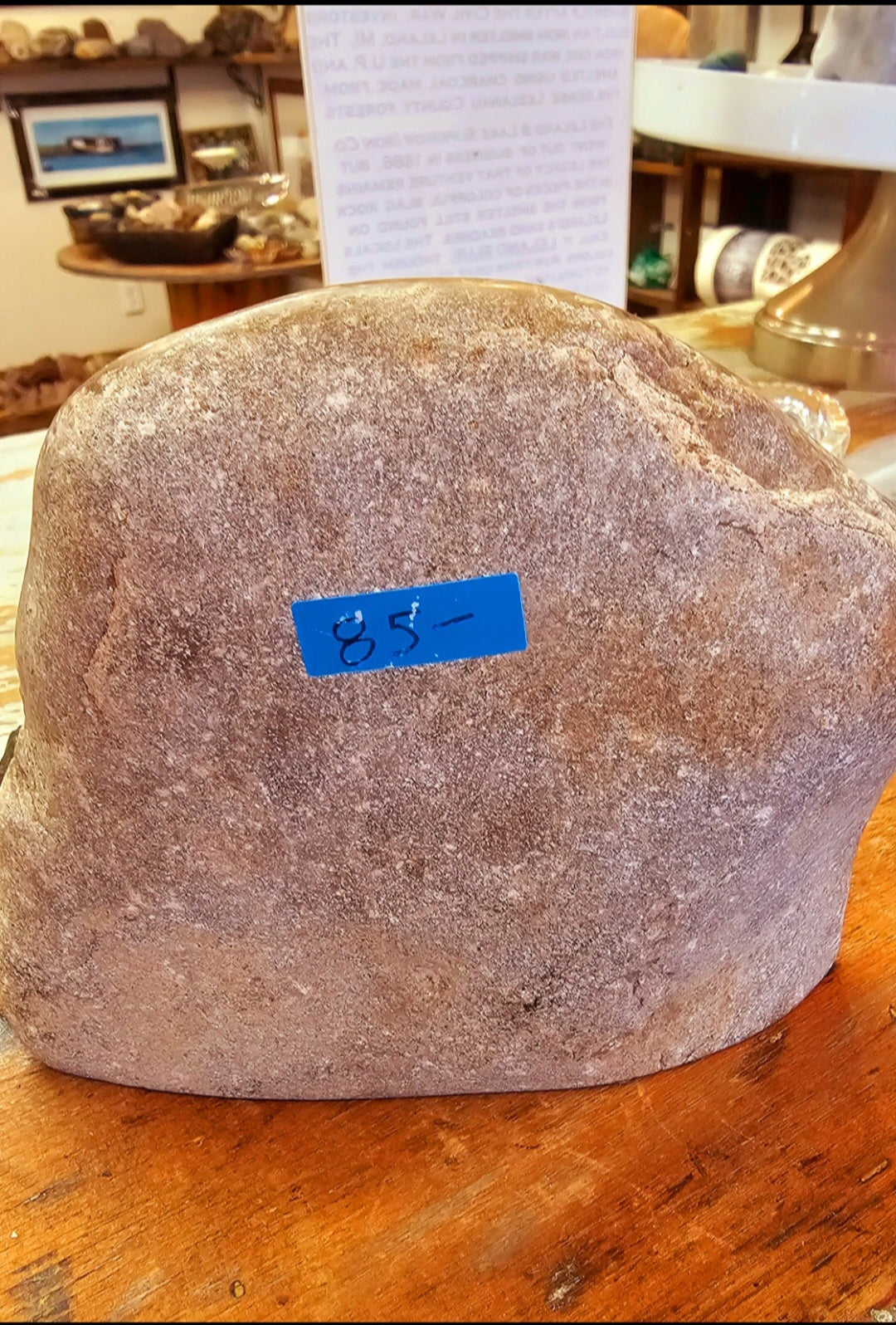 Online Petoskey Stone 2.6 Pounds Half-Polished