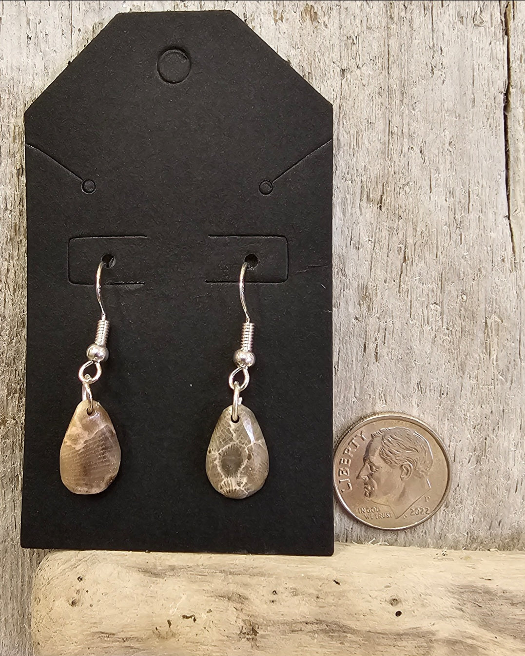 Online_Small Petoskey Earrings