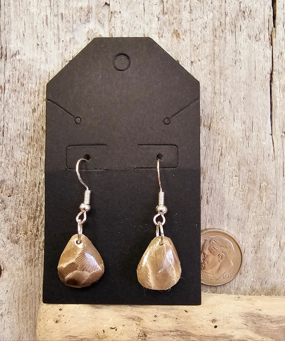 Online_Small Petoskey Earrings_1