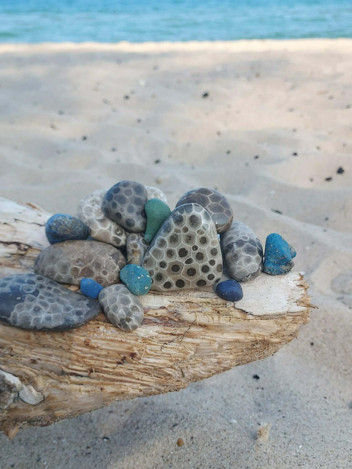 Petoskey stone and Leland Blue beside Lake Michigan