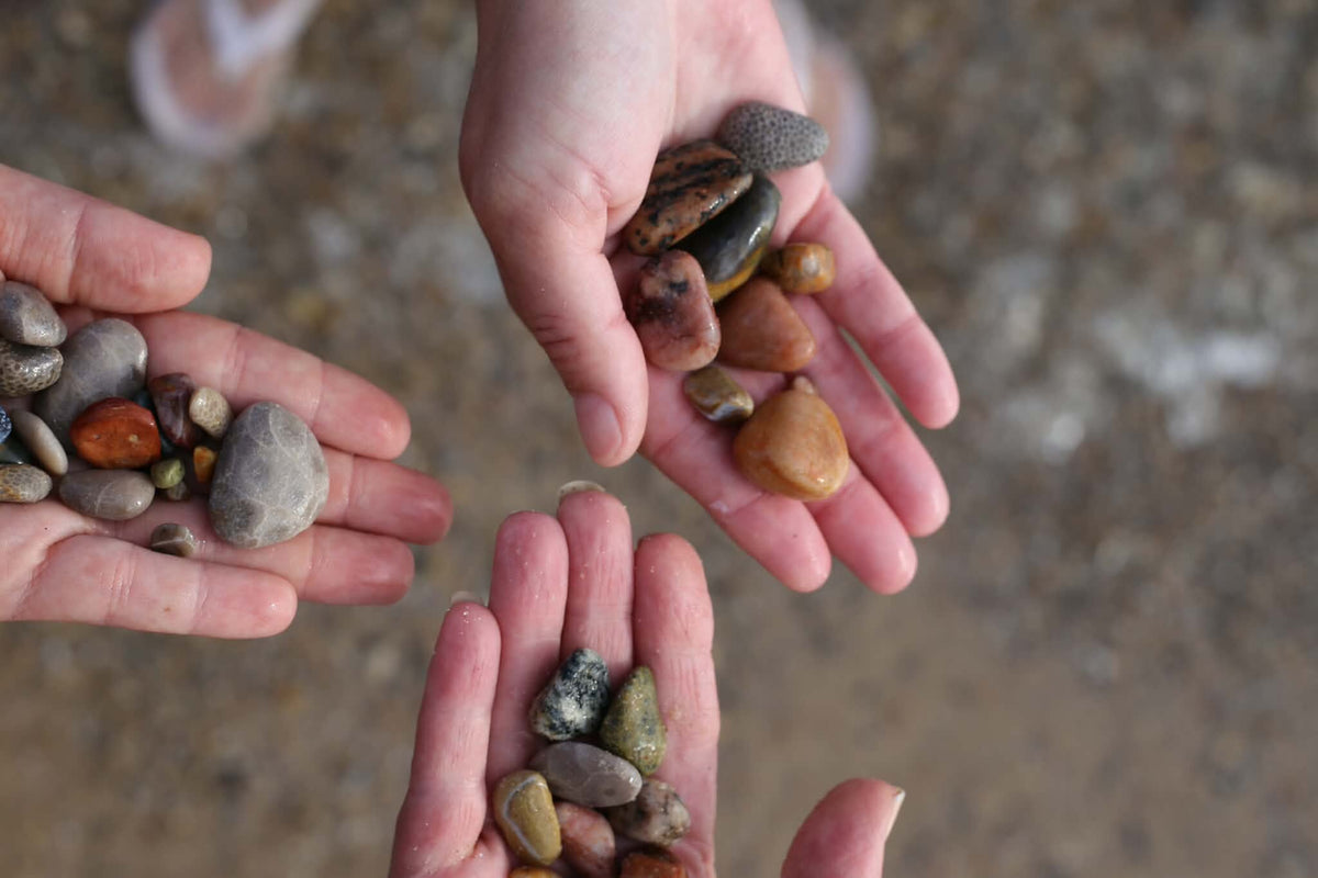 A family comparing stones found along Lake Michigan