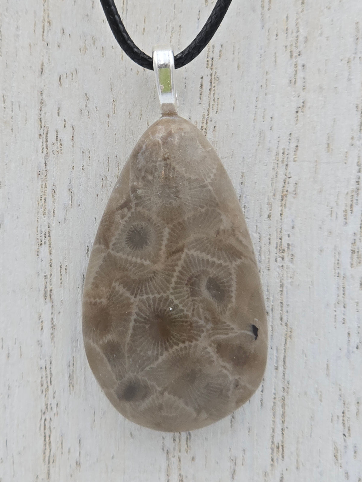 Petoskey Teardrop Pendant #03