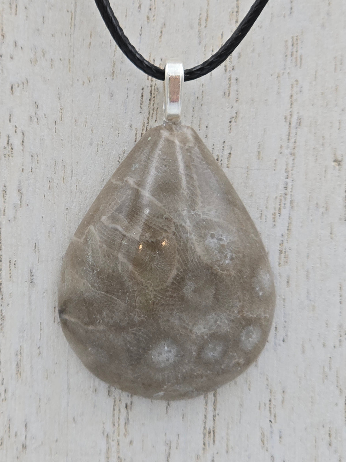 Petoskey Teardrop Pendant #02