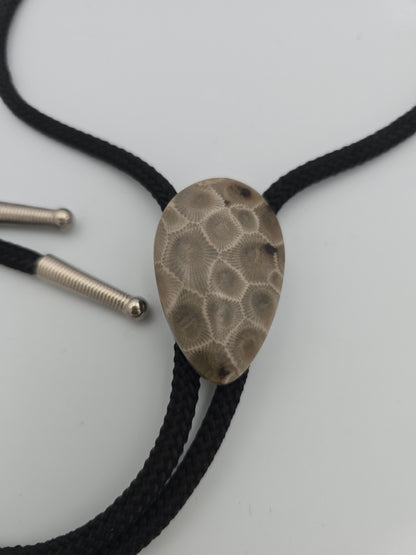 Petoskey Bolo #01