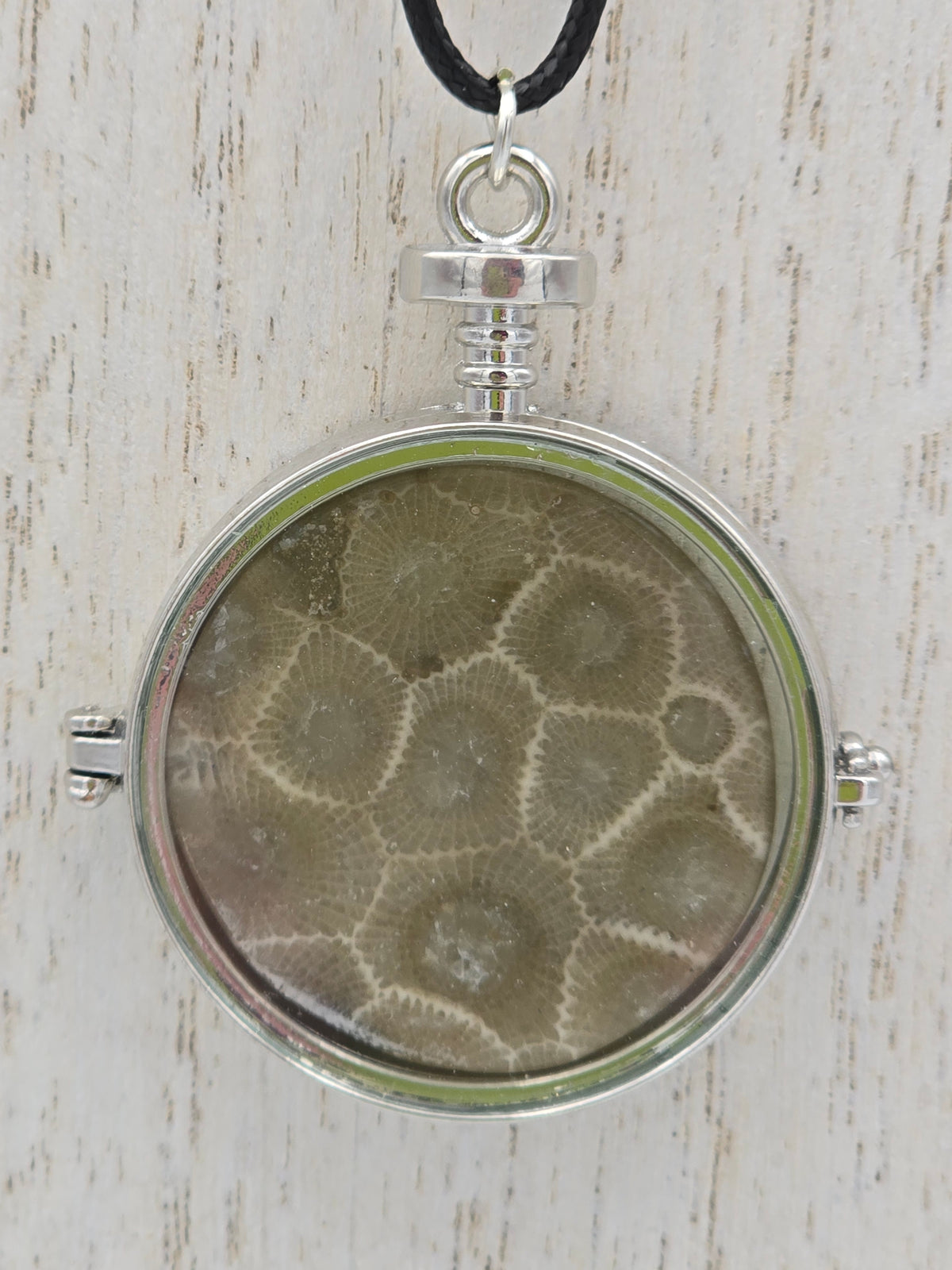 Petoskey Stone Locket #04