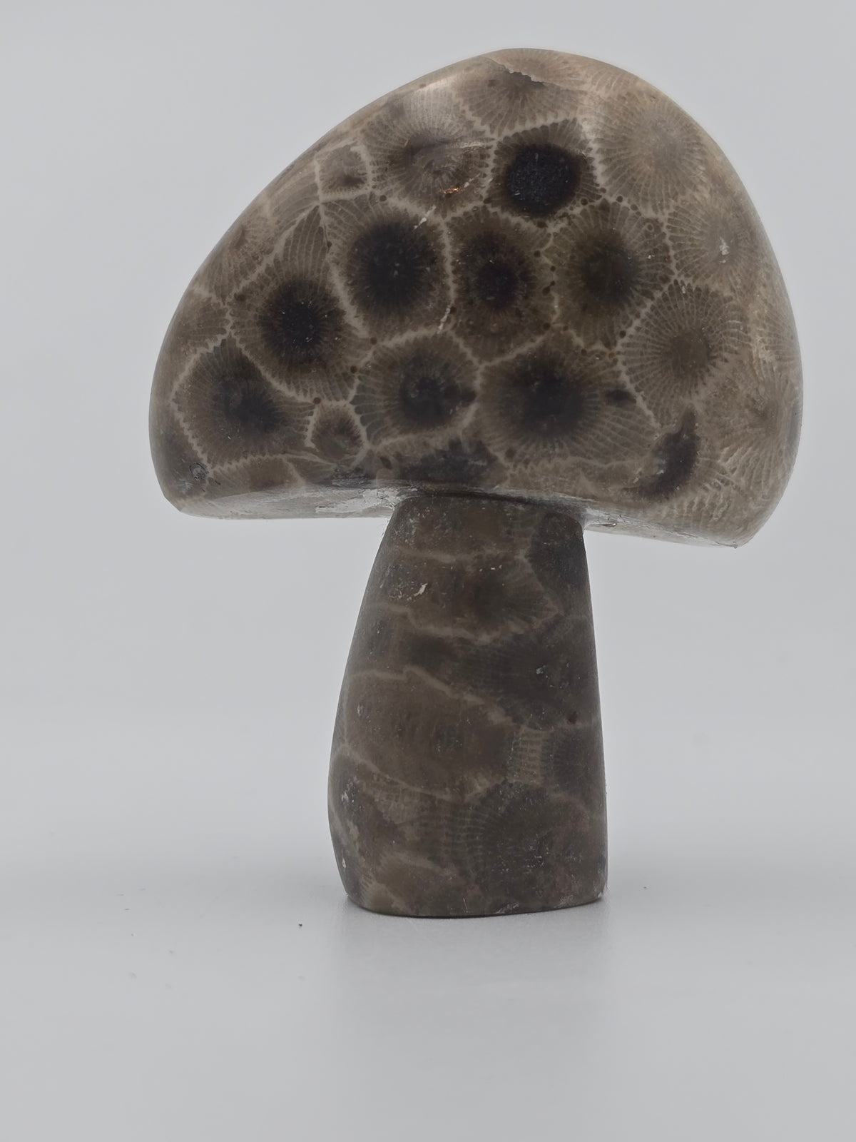 Petoskey Mushroom #01