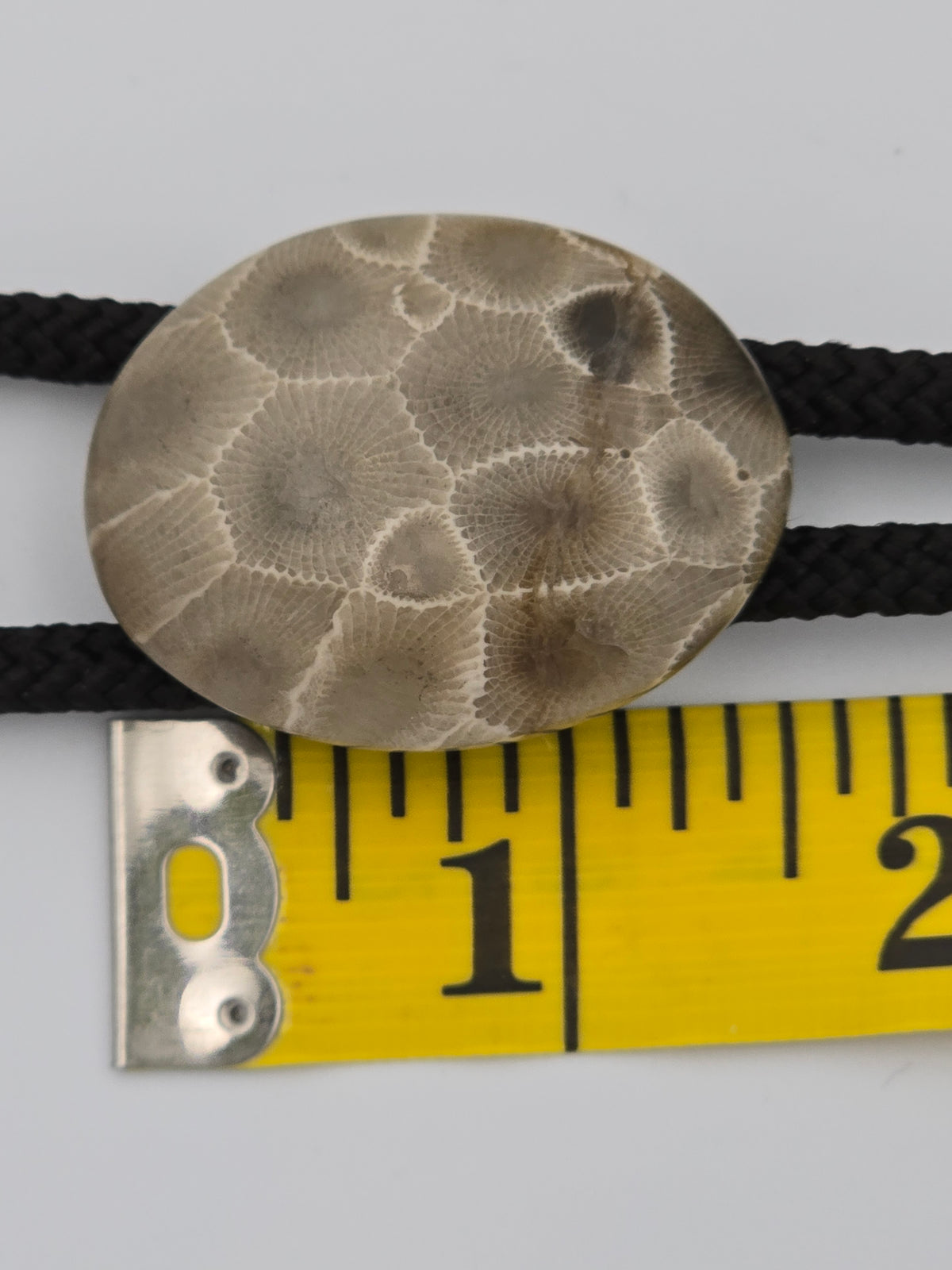 Petoskey Stone Bolo #02